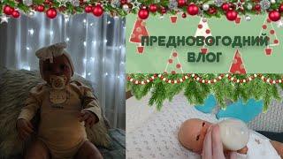 ПРЕДНОВОГОДНИЙ ВЛОГ // вечерняя рутина // капризы Василисы // Dashyko&reborn baby 