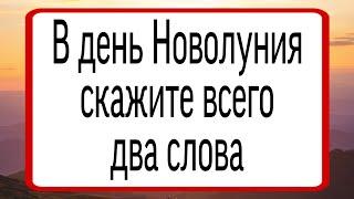 В день Новолуния скажите всего два слова. | Тайна Жрицы |