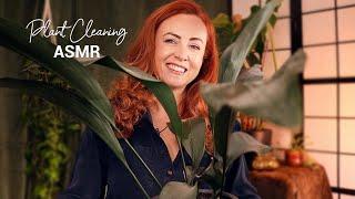 ASMR Plant Cleaning 🪴 Relaxing Pottering & Chatting