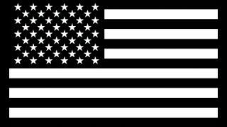 All U.S. Made Tactical Gear BeezCombatSystems