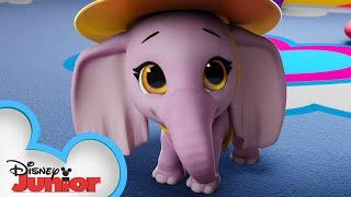 Elephant in the Room  | T.O.T.S. | Disney Junior