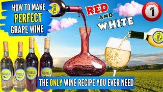 How To Make Wine From Grapes - The Only Wine Recipe You Will Ever Need - Fermentation - PART 1