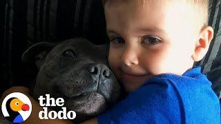 A Tribute To A Boy And His Very Best Friend ️ | The Dodo