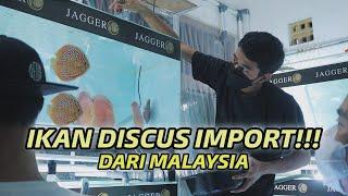 UNBOXING IKAN DISCUS IMPORT!!! DARI MALAYSIA - CINEMATIC VIDEO