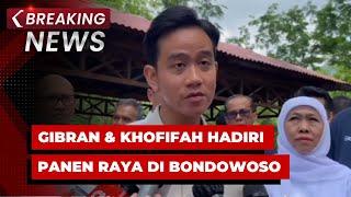 BREAKING NEWS - Wapres Gibran & Gubernur Khofifah Hadiri Panen Raya di Kebun Kopi Bondowoso