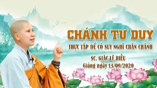 Chánh tư duy - Thực tập để có suy nghĩ chân chính - SC. Giác Lệ Hiếu