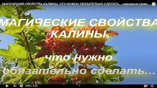 МАГИЧЕСКИЕ СВОЙСТВА КАЛИНЫ. ЧТО НУЖНО ОБЯЗАТЕЛЬНО СДЕЛАТЬ... народные приметы и поверья