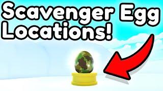 SCAVENGER EGG LOCATIONS in PET SIM X! (26th February)