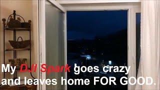 DJI Spark goes crazy and leaves home. For good...