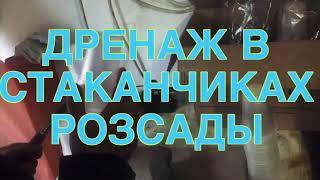 КАК БЫСТРО СДЕЛАТЬ ДРЕНАЖ В СТАКАНЧИКАХ