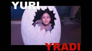 Yuri Yradi no Shopping Eldorado