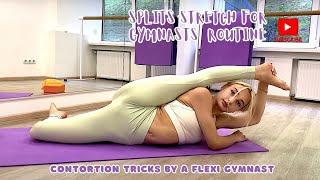 Splits Stretch for Gymnasts and Contortionists! Flexibility Challenge