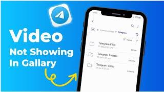 Telegram Video Not Showing in File Manager | How to Save Telegram Video in Gallery