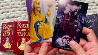 ️energy pairing️Lo Scarabeo Royal animal tarot & Incubus tarot unbox, flip through, review