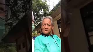 Nenek-nenek bilang memek
