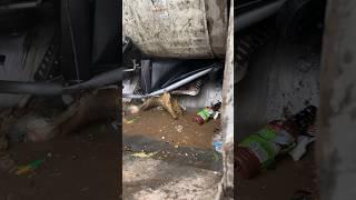 Metal grill crushed in garbage truck