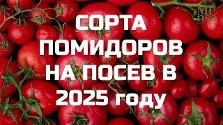 ВЫБИРАЕМ СОРТА ПОМИДОРОВ НА 2025 г.