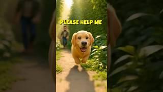 He Ran Without Thinking…