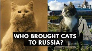 RUSSIAN CAT HISTORY FROM PEASANTS TO QUEENS #russia #documentary #animals #cats #russiahistory