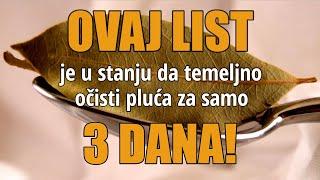 Lovorov list za kašalj, mršavljenje - recepti za čaj i sirup