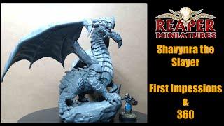 Reaper Miniatures, Shavynra the slayer, Dragon, D&D