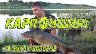 Ловля карпа на диком водоеме, карпфишинг