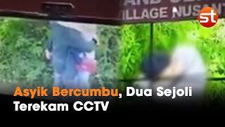 Dua Sejoli Tertangkap Kamera Berbuat Asusila di Kebun Teh