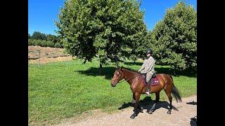 Riding at the Palace of Versailles