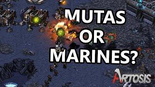 Swarms of Mutalisks! - Rush vs. Sacsri G1