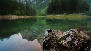 B-Roll | Green Lake - Styria - Austria (Short)