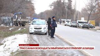 ТРАССАНЫН БОЮНДАГЫ МЫЙЗАМСЫЗ КҮРКӨЛӨР АЛЫНА БАШТАДЫ