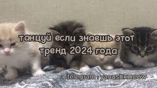  Танцуй если знаешь этот тренд 2024 года  Лучшее тренды Тик Ток 2024 