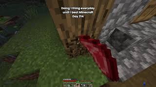 Day 314 Of Doing 1 Thing Everyday Until I Beat Minecraft