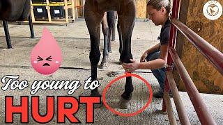 Heartbreak and Hope After Auction Save  