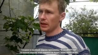 Личное впечатление о бензопиле Татра Гарден.