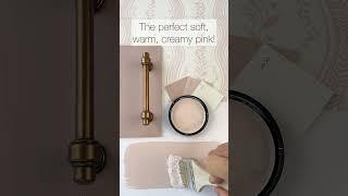 Odessa Pink by Benjamin Moore is a beautiful pink paint color with a hint of coral to warm it up.