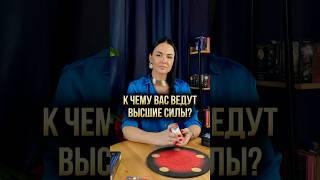  К чему вас ведут высшие силы?