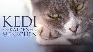 KEDI - Von Katzen und Menschen | Offizieller Trailer Deutsch HD