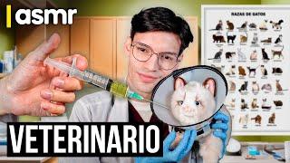 ASMR español roleplay de veterinario