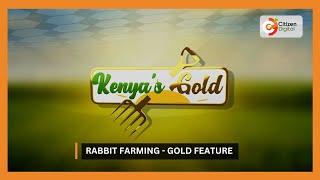 | Kenya's Gold | Rabbit Farming - Gold Feature