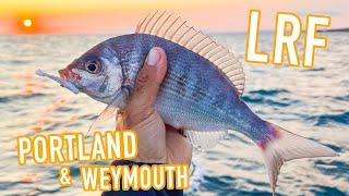 Summer LRF Fishing around Weymouth & Portland