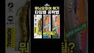 무늬오징어 에기 타입별 공략법 #낚시 #무늬오징어낚시 #에깅낚시