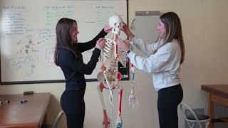 Rachael Tweedlie, UNH Health and Physical Education major