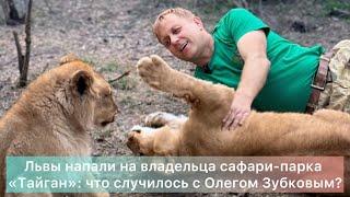 Львы напали на владельца сафари-парка «Тайган»: что случилось с Олегом Зубковым?