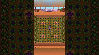 The BEST Greenhouse Layouts in Stardew Valley! #stardew