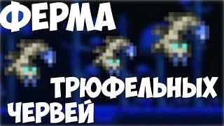 |TERRARIA| |КАК ПОЙМАТЬ ТРЮФЕЛЬНОГО ЧЕРВЯ|