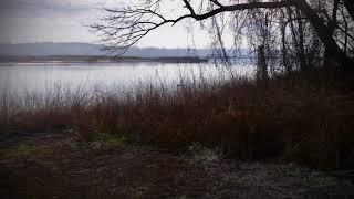 Exploring Maryland’s Upper Patuxent River from Selby’s Landing, 14 Jan 2021