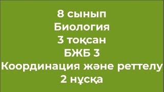 8 сынып Биология 3 тоқсан БЖБ 3 Координация және реттелу 2 нұсқа Жаңа нұсқа