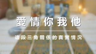 【塔羅】愛情你我他三角關係的真實情況