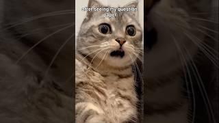 Few Days before exam  #cat #shorts